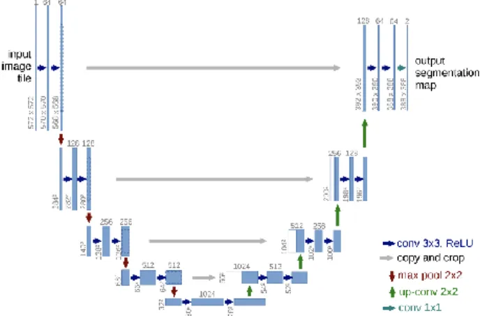 Figure 2.1. U-Net Architecture for Semantic Segmentation [12] 