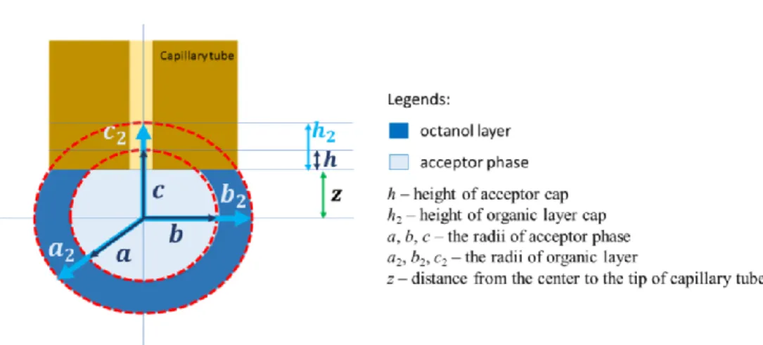 Figure 1: Graphical representation of the acceptor phase and the  octanol layer 