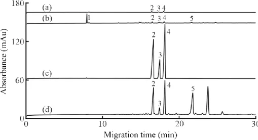 Figure 10. Electropherograms from (a) CE of 100  µM KTP, IBU, and  NAP in water, (b) CE of urine 1 spiked with 100 µM of the analytes, (c)  10-min DI-SDME-CE of 5  µM analytes in HCl of pH 2 at 35°C with  stirring,  and  (d)  10-min  DI-SDME-CE  of  urine 