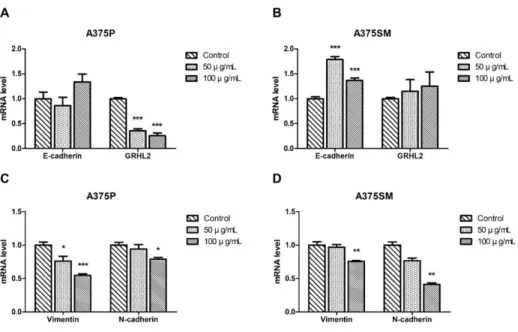 Figure 9. Modulation of epithelial-mesenchymal transition (EMT) markers by  LGG extract