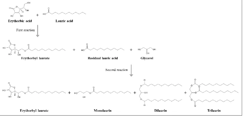 Fig. 4. Reaction scheme for the two-step synthesis of MLE. 