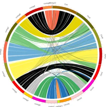 Fig. 2.1. Comparison of M. ruber and  M. purpureus YY-1 genomic locations. 