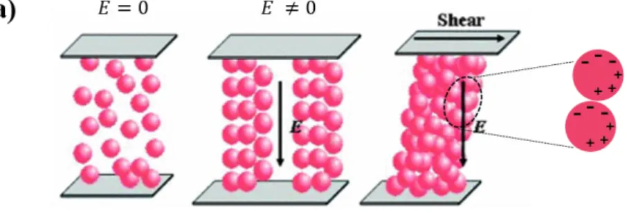 Figure 1. Schematic diagrams of the ER behavior and extrinsically polarizable  ER fluid