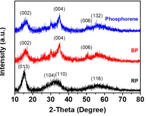 Figure  8. X-ray diffraction patterns  of the RP, BP and phosphorene. RP  exhibited two significant peaks at 15.5°  and 34.8°  in accordance with (013)  and (31-8) (JCPDS No