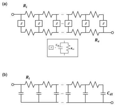 Figure 2.6   Equivalent circuit for the impedance of the catalyst layer of fuel cell  under (a) the faradaic condition and (b) non-faradaic condition