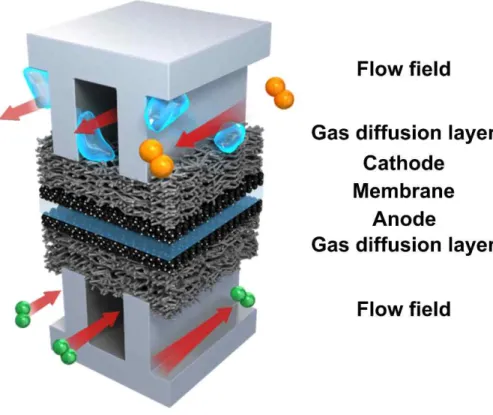 Figure  1.1  Schematic  diagram  of  polymer  electrolyte  membrane  fuel  cells  (PEMFCs)