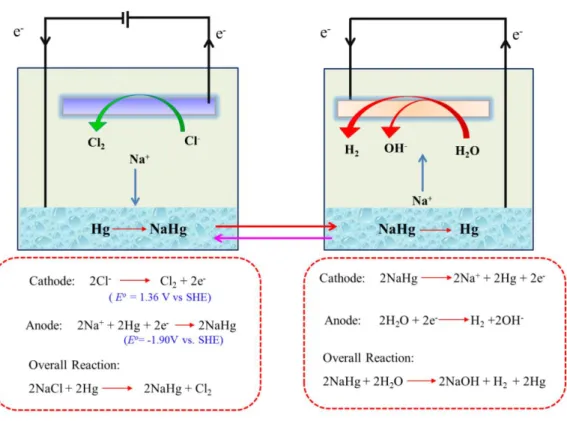 Figure 2. A schematic of the operation mechanism of the mercury cell. [7] 