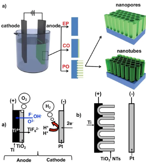 Figure 12. Three possible scenarios for electrochemical anodization schematic view  of reactions that occur during the anodization