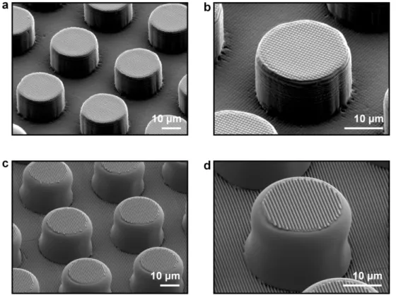 Figure 2-2.  SEM images of multilevel  multiscale PDMS molds. (a,b) 400  nm dot / 20  μm dot patterned PDMS at (a) low and (b) high magnifications