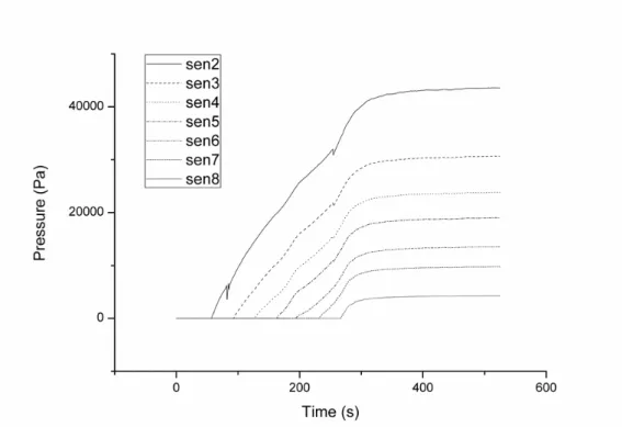 Figure 4. Typical raw pressure data of the pressure measurement 