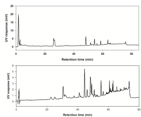 Figure 7. HPLC-UV chromatogram of (A) MeOH extract and (B) n-Hex fraction (A)  The total MeOH  extract  of  E