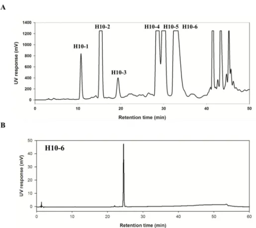 Figure 9. (A) Preparative-HPLC chromatogram of H10 sub-fraction and (B) HPLC- HPLC-UV chromatograms of separated compounds