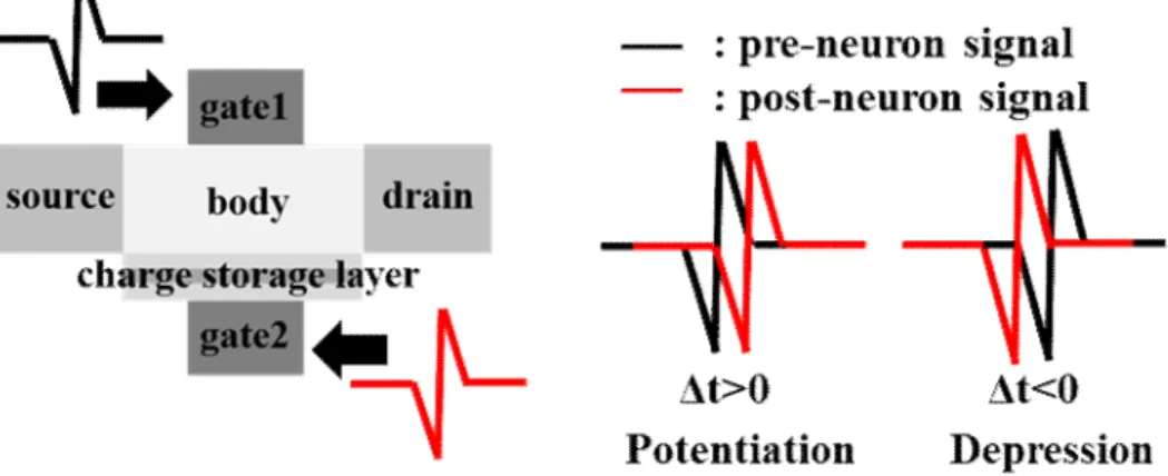 Figure 2.3. Structure and learning mechanism of the SFST.