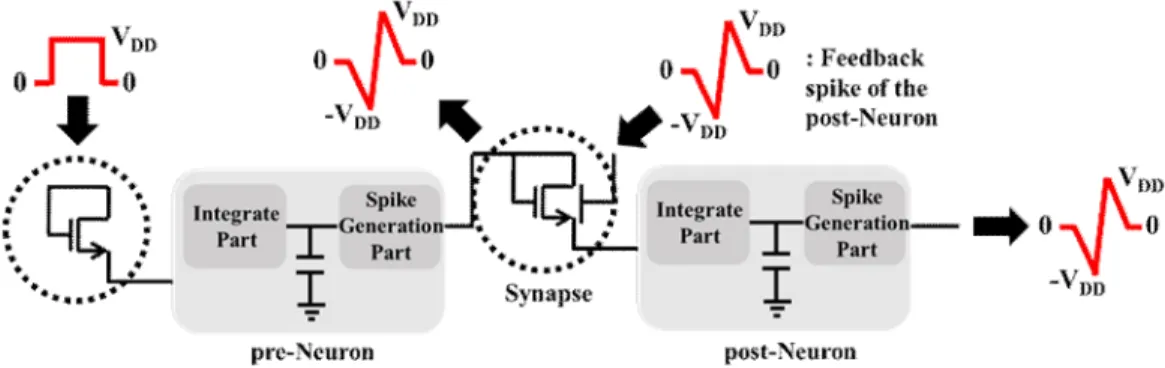 Figure 2.4. Simple neuromorphic system configuration with connection of the neuron  and synapse.