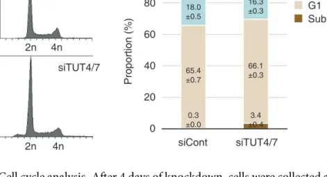 Figure 2.9 Cell cycle analysis. After 4 days of knockdown, cells were collected and profiled using BD FACSCanto and analyzed by BD FACSDiva software