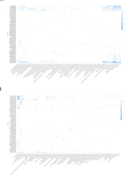 Fig. S1. A. The KEGG pathway analysis of DEmiRs in the ascites  subset.  B.  The  Gene  Oncology  (Cellular  Components)  analysis  of  DEmiRs in the ascites subset