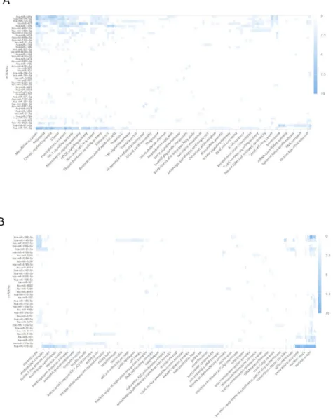 Fig. S2. A. The KEGG pathway analysis of DEmiRs in the plasma  subset.  B.  The  Gene  Oncology  (Cellular  Components)  analysis  of  DEmiRs in the plasma subset