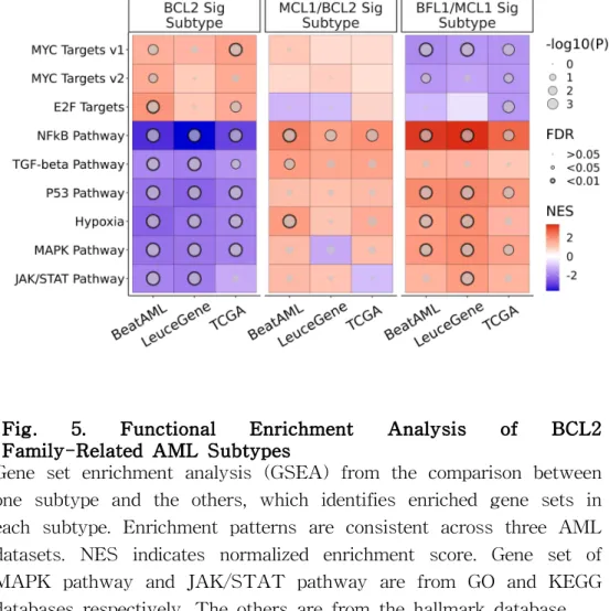 Fig. 5. Functional Enrichment Analysis of BCL2 Family-Related AML Subtypes