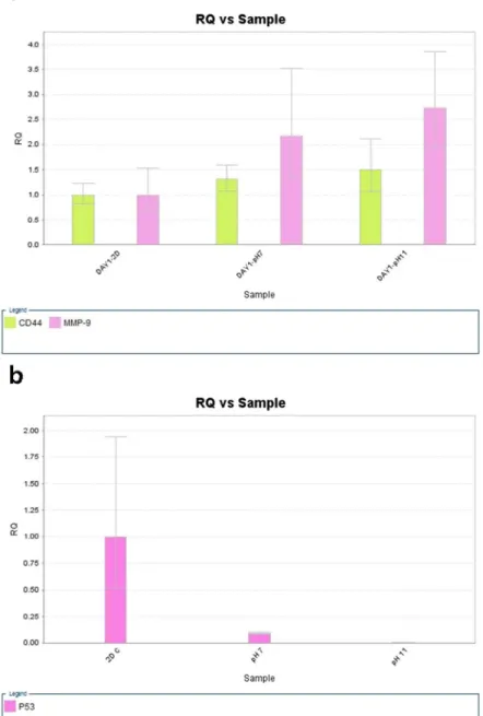Figure  7.  Results  of  qPCR  analysis  (a)  comparison  of  CD44  and  MMP-9  expression  in  2D  ,  pH7  (CCE7)  gel,  and  pH11  (CCE11)  gel,  CD44(green  bar),  MMP-9(pink  bar)  (b)  comparison  of  p53  expression  in  2D  ,  pH7  (CCEgel, and pH11