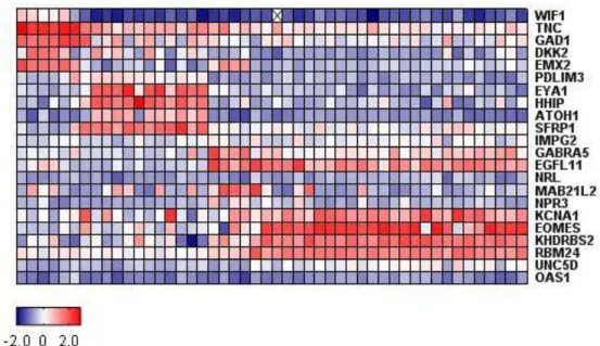 Figure  2.  Expression  heatmap  for  22  subgroup-specific  signature  genes  in  a  48  study patients by nanoString nCounter System