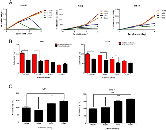Figure 1. Assessment of glucose concentration effect in cell proliferation  and metformin resistance   