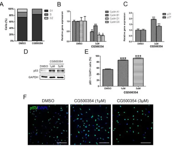Figure 2.  Growth  arrest of  human primary GBM-derived  cells through  p53  overexpression