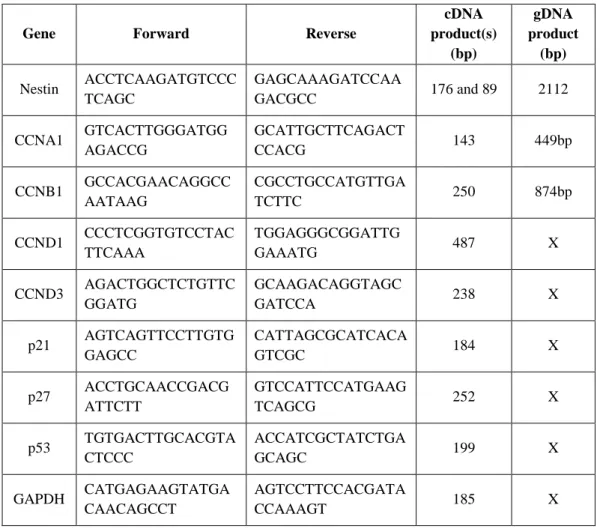 Table 1. Primer list for  quantitative RT-PCR analysis