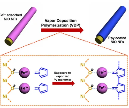 Figure  4.  Illustration  of  the  chemical  oxidation  polymerization  process  on  the  NiO  NFs  surfaces