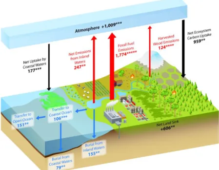 Figure  1.2:  The  carbon  cycle,  showing  net  carbon  emission  sources  and  uptake in  the environment