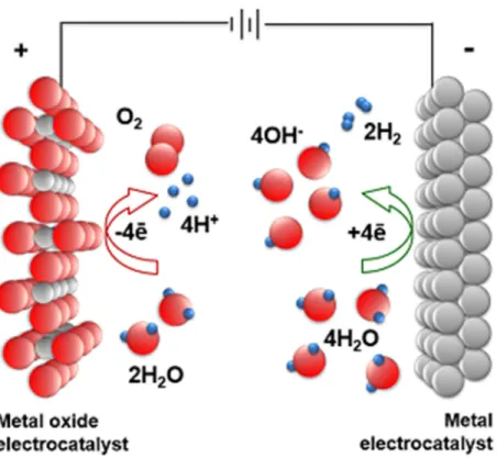 Figure  1-2  Oxygen  and  hydrogen  evolution  reaction  (OER  and  HER)  for  overall water splitting.