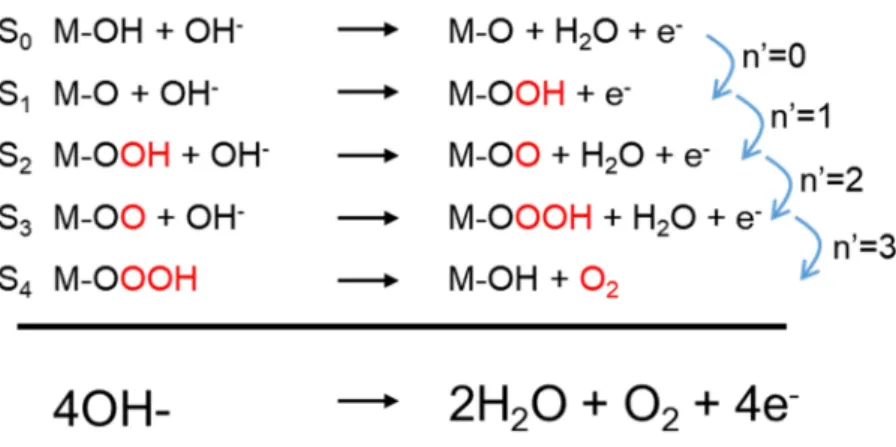 Figure 2-8 Charge transfer steps of typical metal hydroxide.