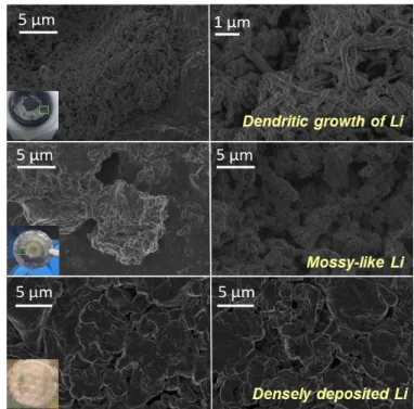 Figure  4.7 SEM images  of  the  surface  morphologies  of  lithium  metals  in  0.5 M  LiTFSI TEGDME after 60 cycles, in 0.5 M LiTFSI DME  and Dioxane after 130  cycles at a current density of 0.5 mA cm −2 
