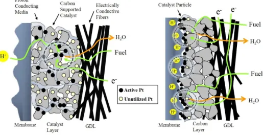 Figure 1. Structure of electrode prepared by (a) conventional method and (b)  electrodeposition method and transport of fuel, protons, and electrons