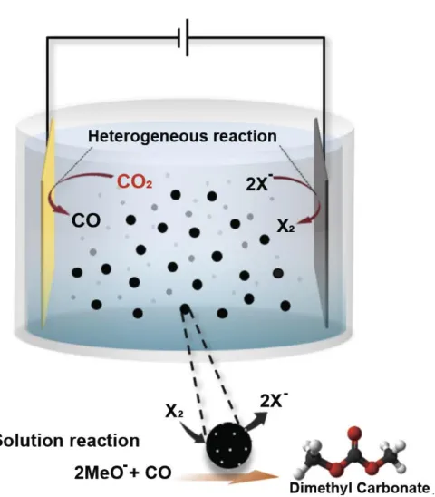 Figure 2. 1 Reaction scheme of the system for the synthesis of DMC from CO 2 .