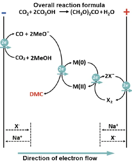 Figure 2. 2 Detailed mechanism of DMC synthesis and electron flow from cathode  to anode through three redox cycles