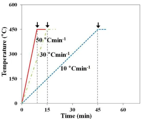 Fig 2.3. Cell temperature profile. Electrochemical performances were measured at  black arrow points 