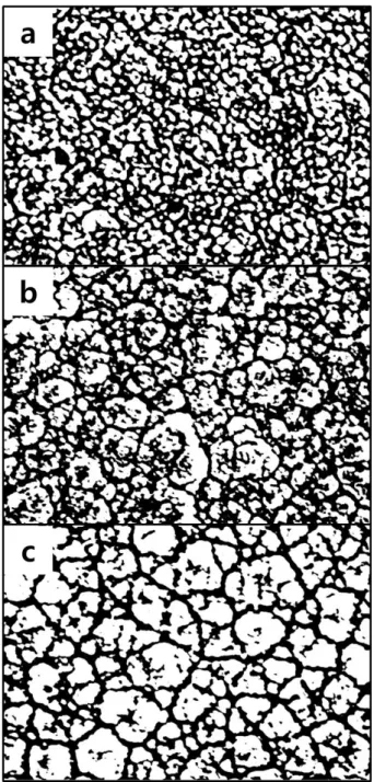 Fig 3.4 Binary images of surface morphologies of Pt cathodes of thin-film solid oxide  fuel cells initially heated by (a)10 ˚Cmin -1 , (b)30 ˚Cmin -1  and 