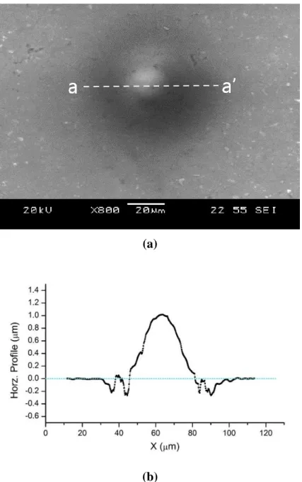 Fig. 3.1 Aluminum oxide formed by local anodization: (a) SEM image of  aluminum oxide, top view, (b) 2D surface profile of section a-a’ 