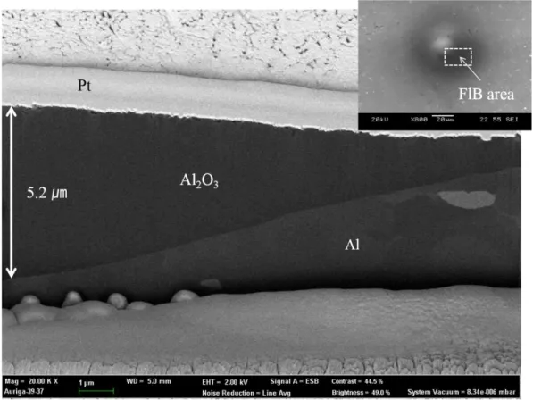 Fig. 3.3 SEM image of the cross section of localized aluminum oxide formed  by local anodization 