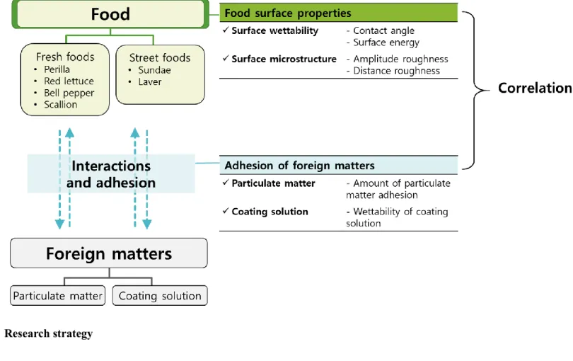 Fig. 1.3.    Research strategy