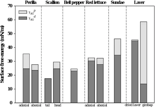Fig. 2.2. Surface free energy of foods calculated by OWRK method. Polar  (𝜸 𝑺𝑮𝒑 ), and dispersive (𝜸 𝑺𝑮𝒅 ) components