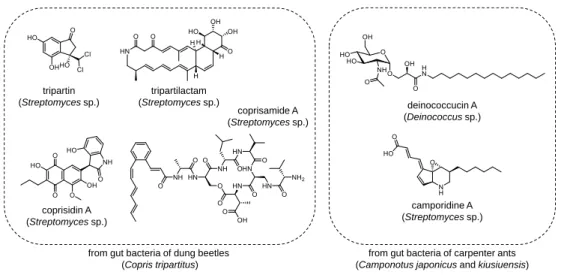 Figure  1.  Previously  reported  secondary  metabolites  produced  by  intestinal  bacteria  of  insects