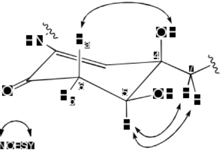 Figure 3. Key NOESY correlations of the cyclohexenone    ring of salternamide C (3). 