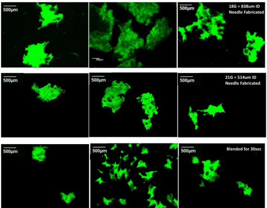 Figure 7.  Confocal Microscopy Images of Representative Particles  Fabricated with 18G needle, 21G needle, and blender for 30 seconds