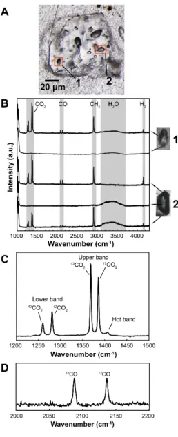 Figure 2.1. (A) A stereoscopic micrograph image of one of the grains of  carbon-bearing enstatite