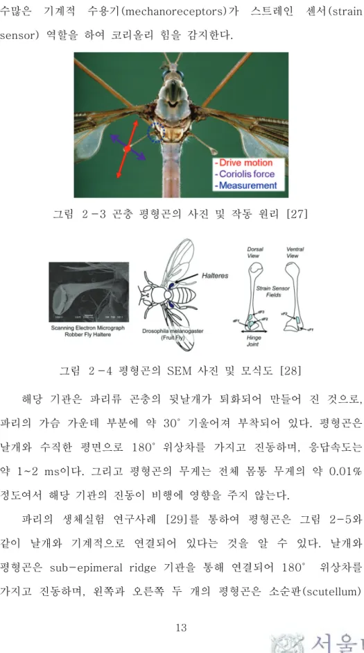 그림  ２-3  곤충  평형곤의  사진  및  작동  원리  [27] 
