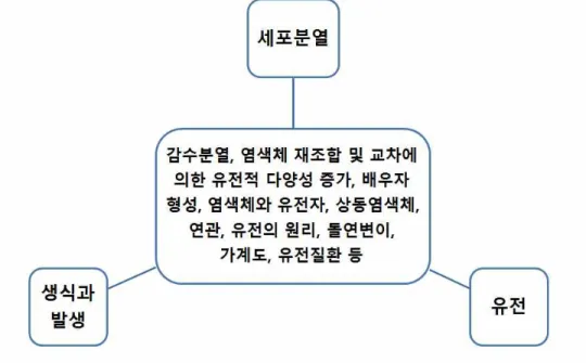 그림 11. 세포분열-생식과 발생-유전 연계