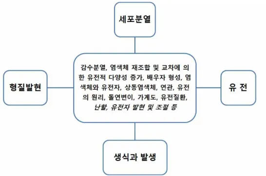 그림 12. 세포분열-생식과 발생-유전-형질발현 연계