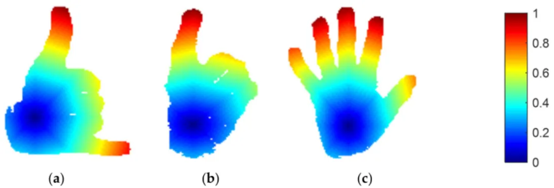 Figure 5. Wave propagation of geodesic distance via fast-marching algorithm (FMA) on the Sign Word dataset classes of (a) call, (b) single, and (c) fine.