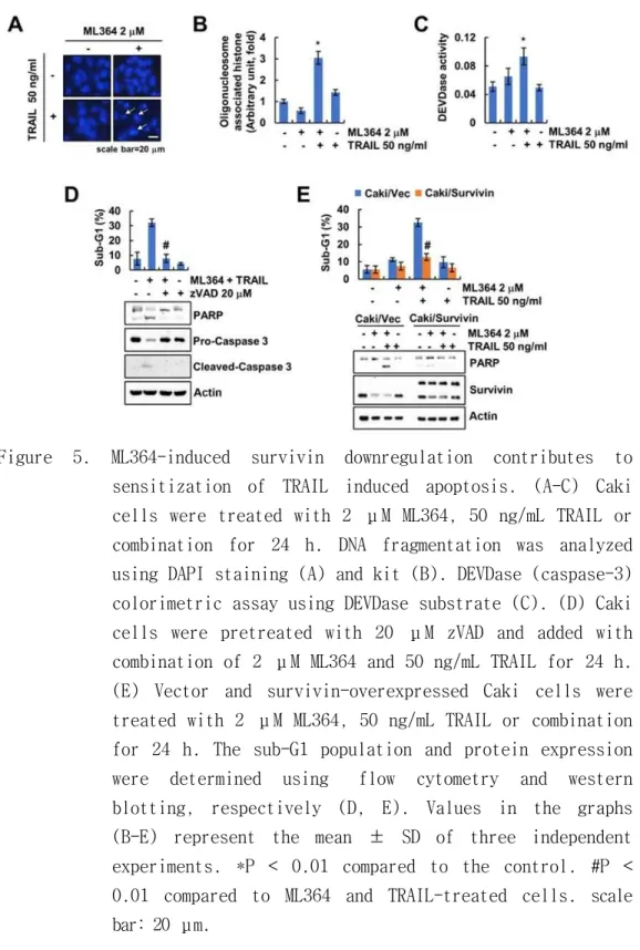 Figure  5.  ML364-induced  survivin  downregulation  contributes  to  sensitization  of  TRAIL  induced  apoptosis